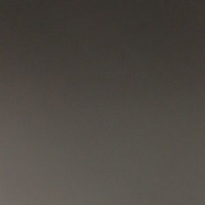 Meet your Posher, Betsy