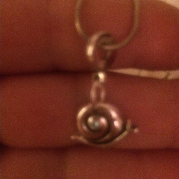 Bob The Snail🐌