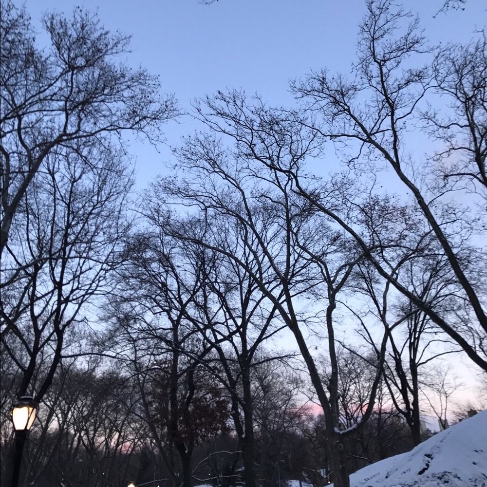 Meet your Posher, Rosely