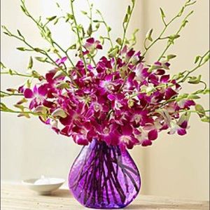 Meet your Posher, Chinh