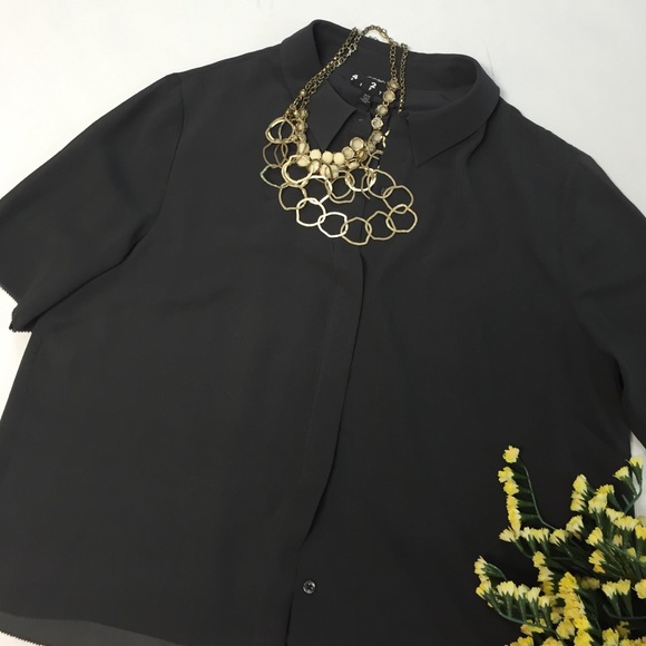 Fall Silk Crop Blouse NWT - Picture 2 of 4