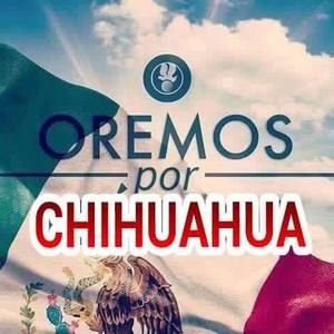 Meet your Posher, Corina