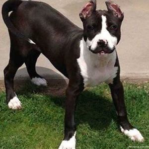 Meet your Posher, Tamie