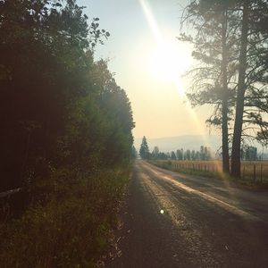 Meet your Posher, Cait