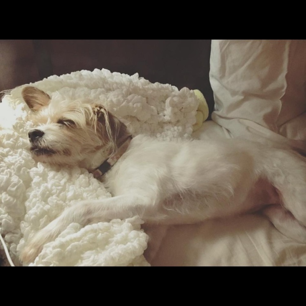 Meet your Posher, Jenny