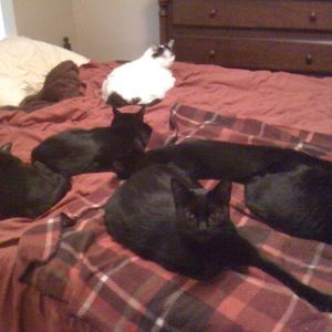 Meet your Posher, Marie