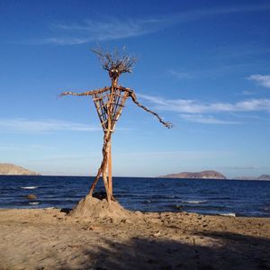 Meet your Posher, Emmanuelle