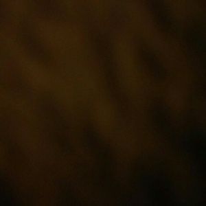 Meet your Posher, Marcus