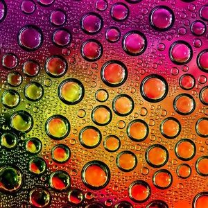 Meet your Posher, Leeann