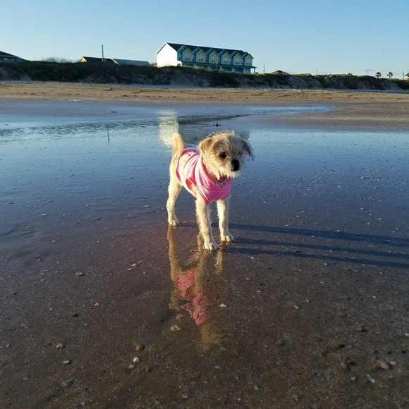 Meet your Posher, Carviex - Picture 6 of 6