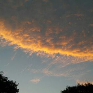 Meet your Posher, Jada