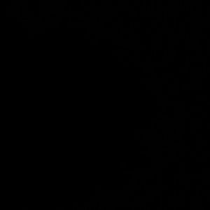 Meet your Posher, Freddy