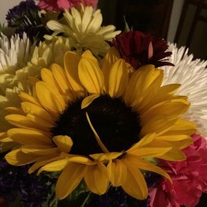 Meet your Posher, Cathy