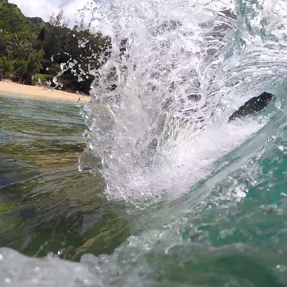 Meet your Posher, Chloe - Picture 1 of 1