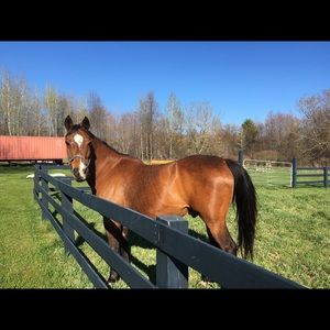 Meet your Posher, Mandy