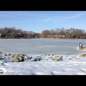 Meet your Posher, Luis