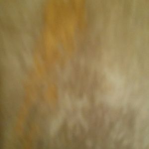 Meet your Posher, Cody