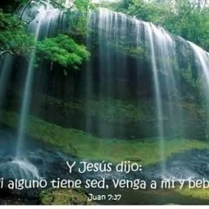 Meet your Posher, Juan