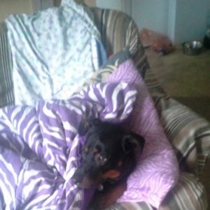 Meet your Posher, Lisa