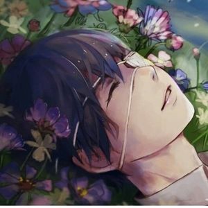 Meet your Posher, Delia