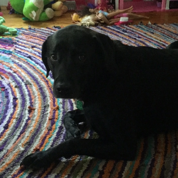 Meet your Posher, Amy