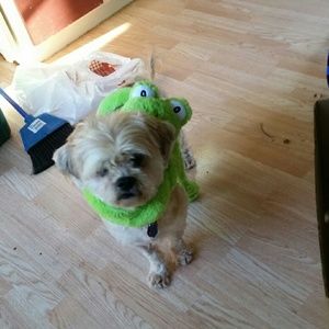 Meet your Posher, Bethany