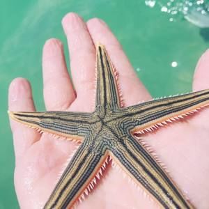 Meet your Posher, Mackenzie