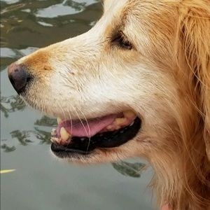 Meet your Posher, Barb