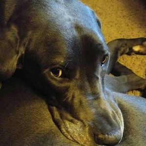 Meet your Posher, Kristina