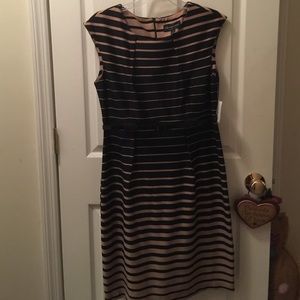 Ladies Connected apparel brand dress