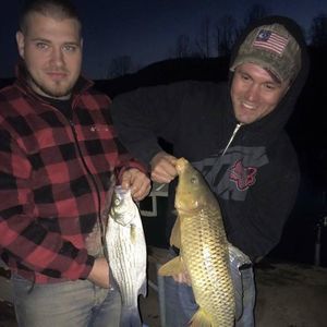 Meet your Posher, Jena