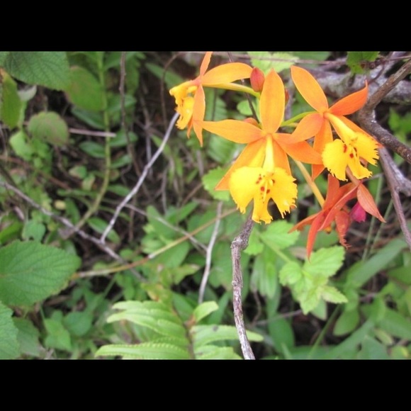 Meet your Posher, Abigail