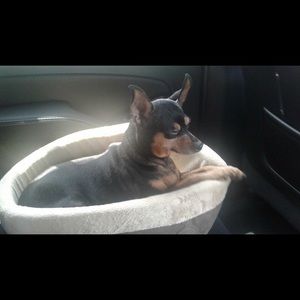 Meet your Posher, Hailey