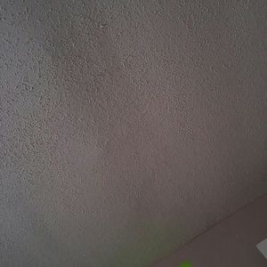 Meet your Posher, Perla