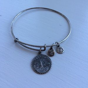 Alex and Ani charm bracelet