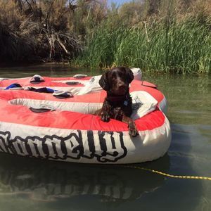 Meet your Posher, Diane