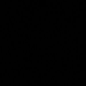 Meet your Posher, Santos