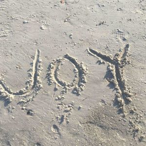 Meet your Posher, Joy