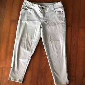 NWOT Lane Bryant jeans.  Never worn