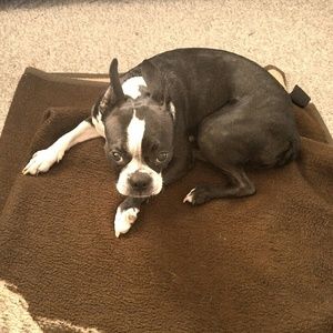 Meet your Posher, Amie