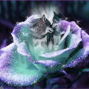 Meet your Posher, Holly