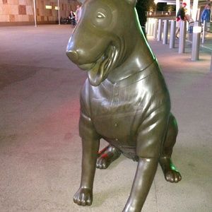 Meet your Posher, Jana