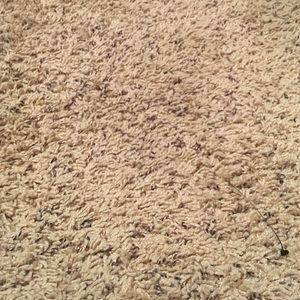 Meet your Posher, Fabiola