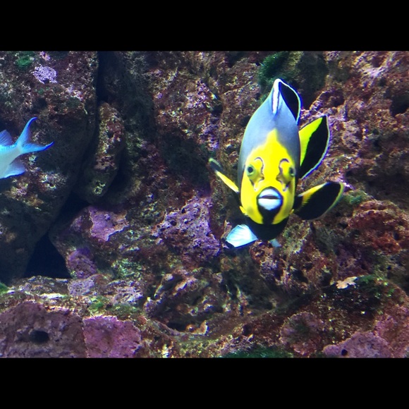 Meet your Posher, Tracy