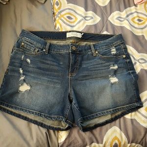 Torrid shorts