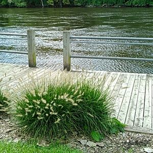 Meet your Posher, Stacey