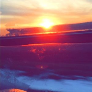 Meet your Posher, Bella