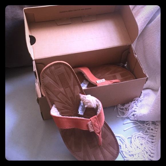 Brand New UGG sandals