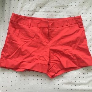 NWOT Express Trouser Shorts - Size 12