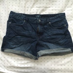 LIKE NEW Ann Taylor LOFT Denim Shorts - Size 12
